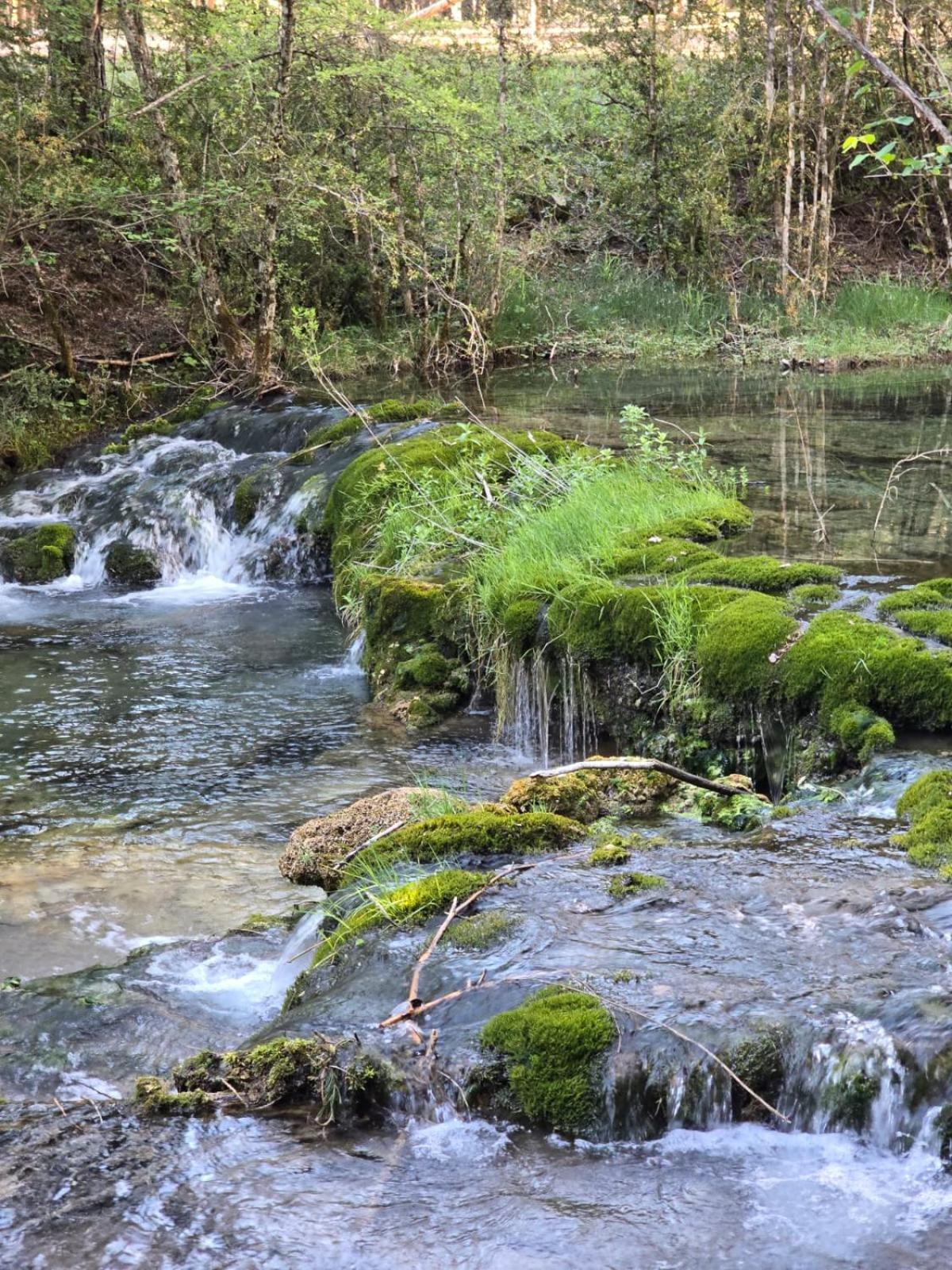 Hostal Rural Alto Tajo Poveda Поведа-де-ла-Сьерра Экстерьер фото